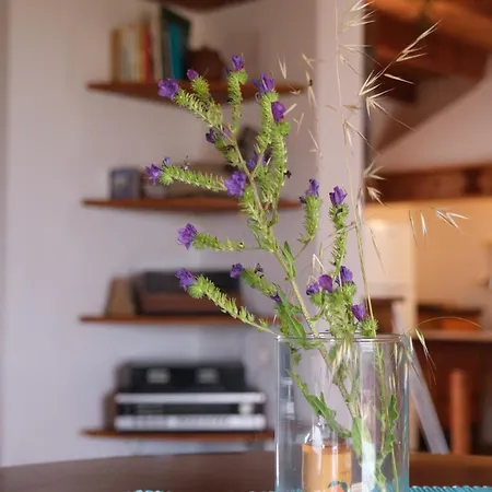 Tatil Evi Casa Bianchi - Immersa Nel