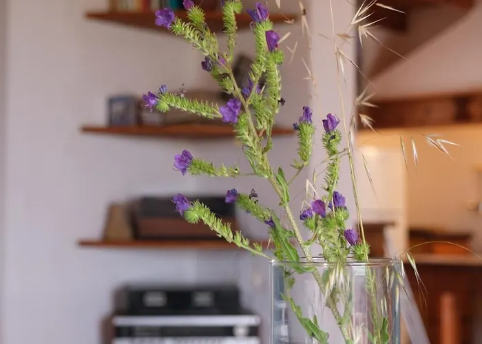 Tatil Evi Casa Bianchi - Immersa Nel